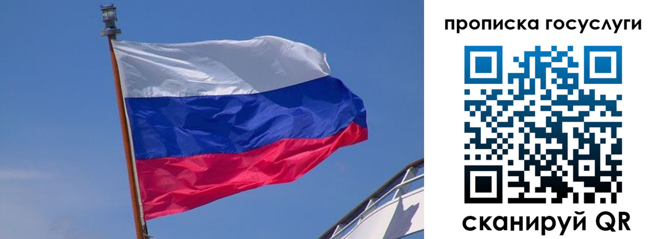 регистрация в Дмитрове